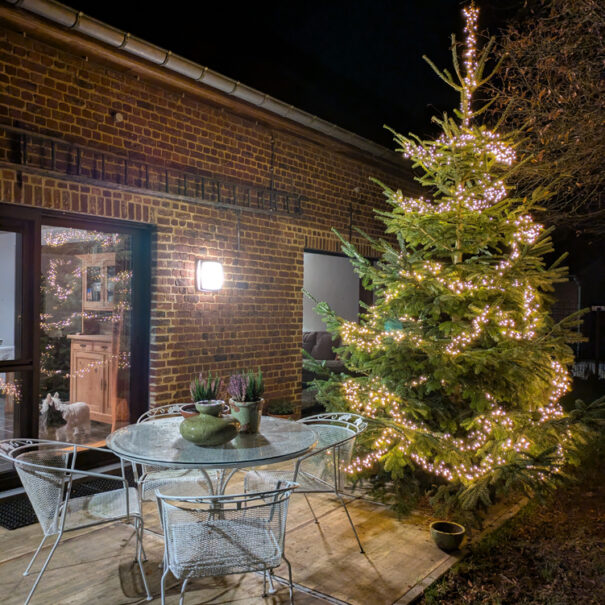 Tuin Kerst